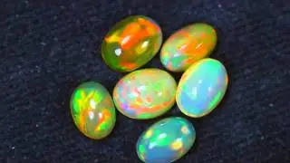 EQ587