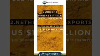 Turmeric powder export import