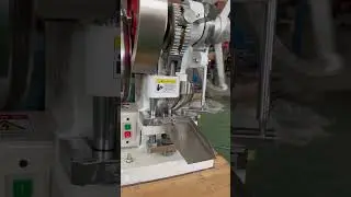 TDP-5TS Electric Tablet Press Machine Sprint Machinery