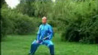 Hunyuan Tai Chi 24 Forms (hun yuan taiji)