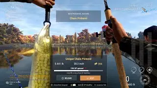 How to catch the Unique Chain Pickerel on Emerald Lake New York in fishing planet