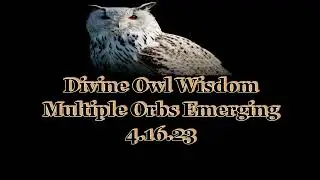 PARANORMAL ACTIVITY!!! | Multiple Orbs Emerging Spirits