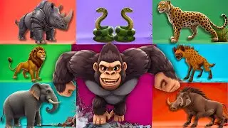 Jungle Animal Sounds Song | Learn Animal Names and Sounds | Nursery Rhyme Animalstooni