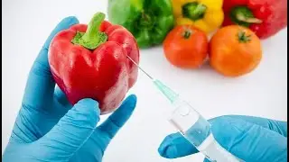 Tre modi per riconoscere un cibo bio dagli ogm