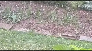Tormenta en Hormilla