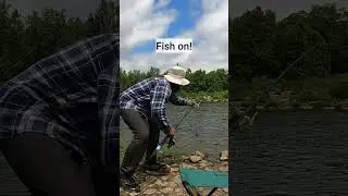 🍔 secret carp bait that always works #carpfishing #fishingvideo #carpbait #bigfish