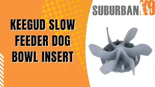 Dog Trainer Reviews: Keegud Slow Feeder Dog Bowl Insert