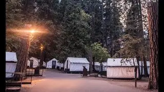 Curry Village | Cabins in Curry Village
