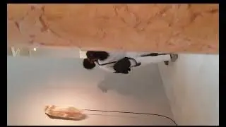 ANNA FRANCESCHINI installazione Palazzo delle Esposizioni