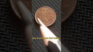 1 cent / penny canada no mint mark Elizabeth II 1981