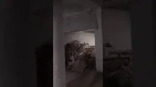 SS Group's Coralwood Apartment's leaking and trash filled basement (December 2020)