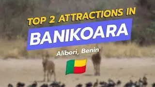 Top 2 Attractions in Banikoara, Benin 🇧🇯 | Pendjari National Park & W National Park (Benin Section