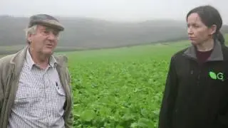 Your Farm: integrated farming system with catch crops