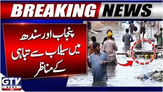 Punjab And Sindh Flood Disaster | Massive Destruction | Breaking News
