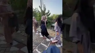 PPL 12