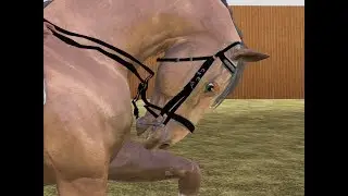 Последние секунды \sims 3 horse