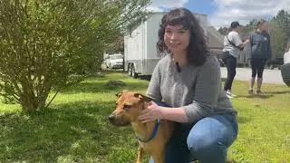 Madison Oglethorpe Animal Shelter gets creative with business sponsorship program