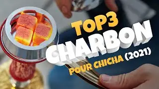 TOP 3 [NATURAL COALS] for shisha according to your votes!