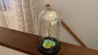 Preserved Flower Forever Rose for Ladies Gift,Light Up Artificial Rose in Glass Dome Review