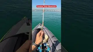 #gargur #sargoz #levrek #&ccedil;ipura #hanfish #lagos #vatos #balık #kıyıbalık&ccedil;ılığı #fishing #fish