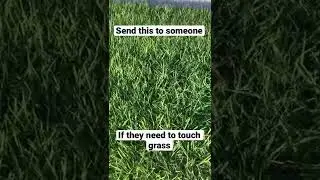 Send this to someone if they need to touch grass. #shorts #touchgrass #getalife