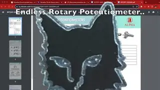 Deciphering the Endless Rotary Potentiometer - Experiments and Insights