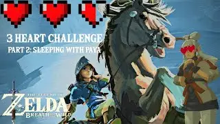 Sleeping with Paya 3 Heart Challenge: Breath of the Wild (Part 2)