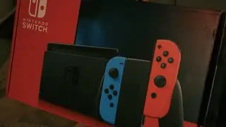 Everybody buying a Nintendo Switch during the pandemic