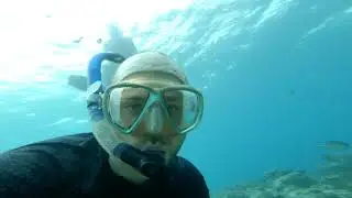 Tanzania: Snorkelling it's Undersea Sanctuary