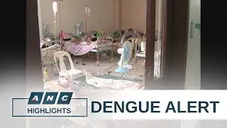 PH Health Department declares national dengue alert