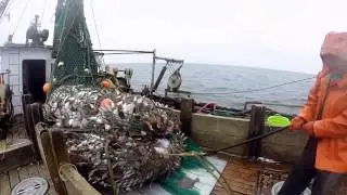 Bottom trawler