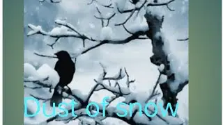 Dust of snow summaryand explanation/10thclass first flightbook lesson 1 ki poem 1#englishliterature