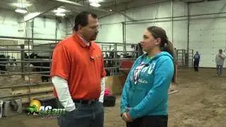 WebsiteVideos
