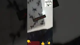 برین کراسی کردی سقزی/ حاشیه دار/ بدون الگو/ راحت و ساده/