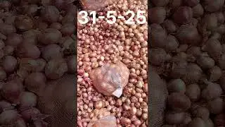 today market rate ✨🚛🚛🧅🧅 #loading #subscribe