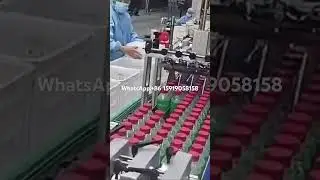 Palletizing Robot for bottle of water