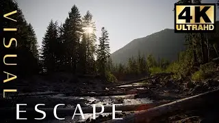 Perfect Sunset with river: Sounds and view. 7 hours in 4K (Ultra HD) 🌲 🌅 In Oregon