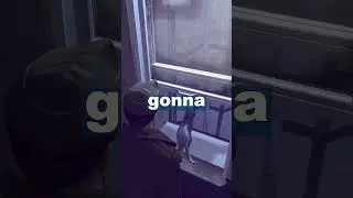 Suicidal Cat 😮😮😮