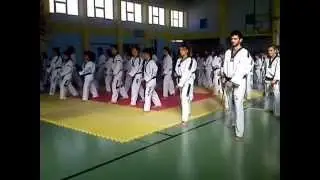 TAE KWON DO MAXITES MESOLOGI - ASTAKOS