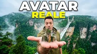 Persi nel parco di Avatar 😱 | L’avventura più folle in Cina, a Zhangjiajie 🇨🇳