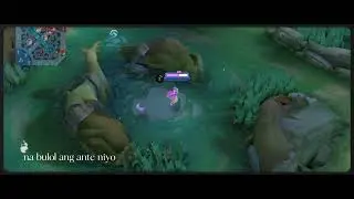 FLORYNMLBB