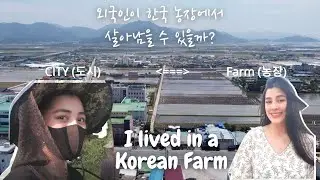 KOREA VLOG: Gangjin, Filipino living like a local