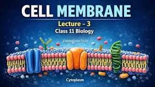 Cell Membrane One Shot | Lecture 3 | Class 11 Biology | NEET