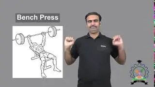 Bench Press
