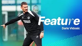Spotlight On | Dario Vidosic