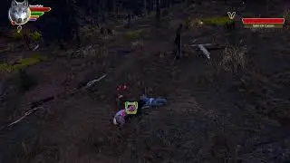 FantasyXFamily Presents Rubycat Plays Wolf Quest Av