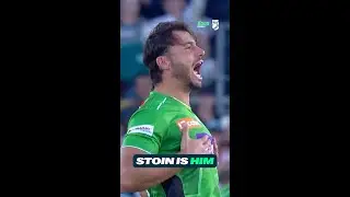 Marcus Stoinis celebrates after wicket of Warner