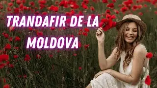 BearMusic - TRANDAFIR DE LA MOLDOVA