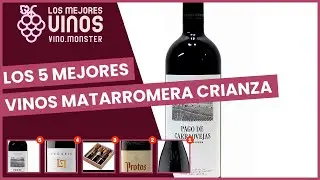 Los 5 mejores vinos matarromera crianza