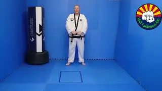 Stepping Kicks